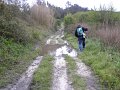 DSCN3204
