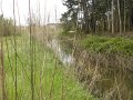 DSCN3212
