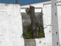 DSCN3266