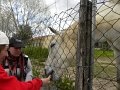 DSCN3269