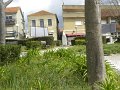 DSCN3281