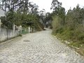 DSCN3303