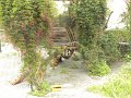 DSCN3308