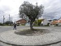 DSCN3319