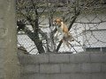 DSCN3385