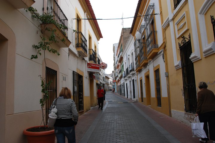 DSC_0316.JPG