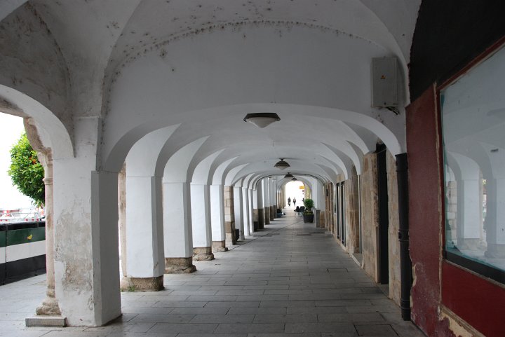 DSC_0333.JPG
