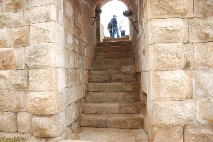 DSC_0533.JPG