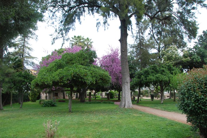 DSC_0600.JPG