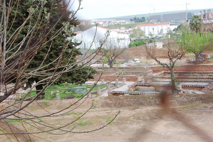 DSC_0625.JPG