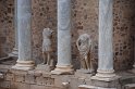 DSC_0539