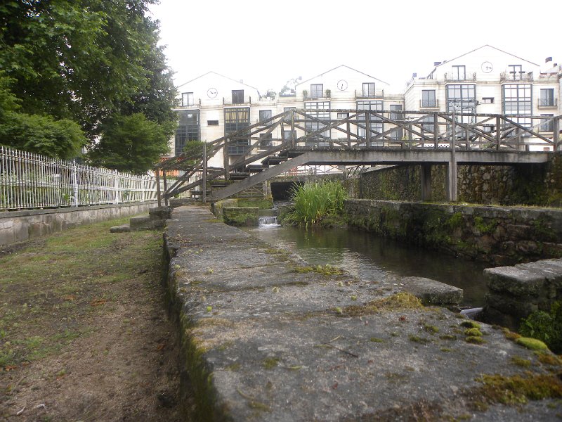 DSCN4528.JPG