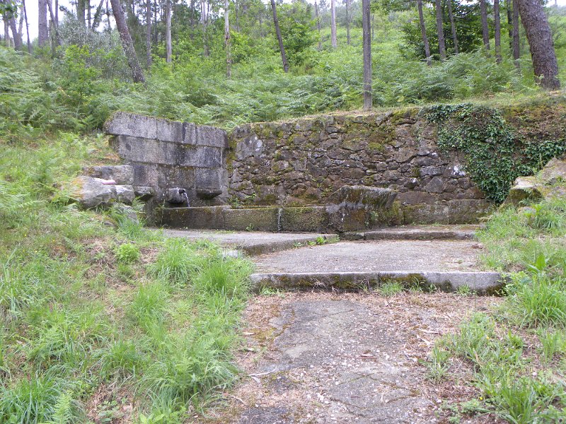 DSCN4563.JPG