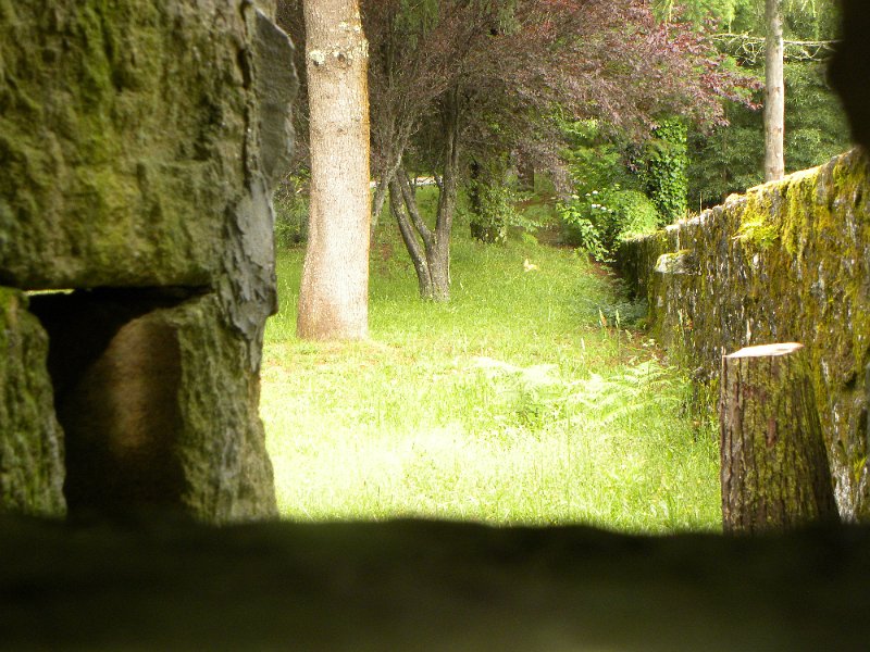 DSCN4577.JPG