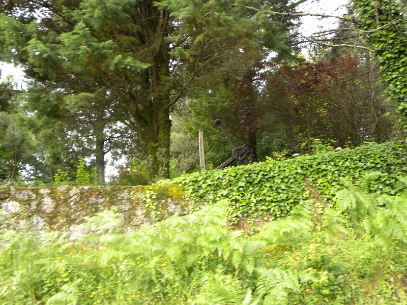 DSCN4580.JPG