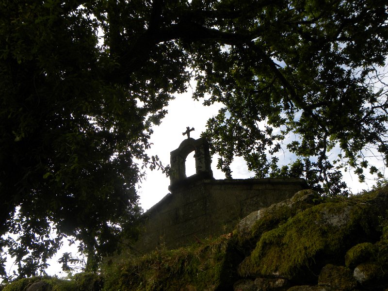 DSCN4584.JPG