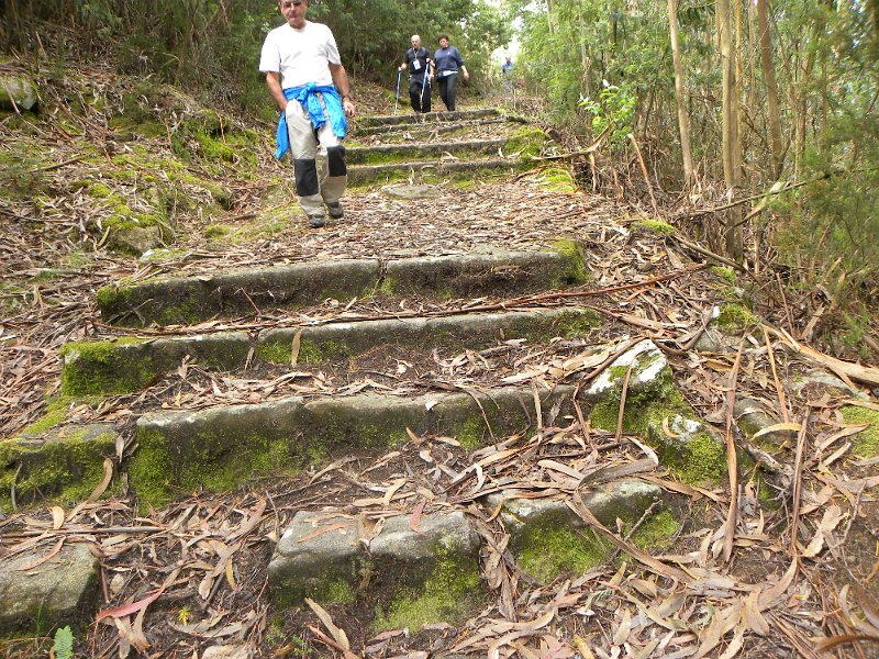 DSCN4625.JPG