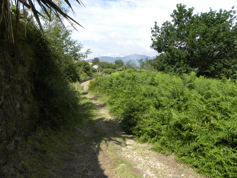 DSCN4631.JPG
