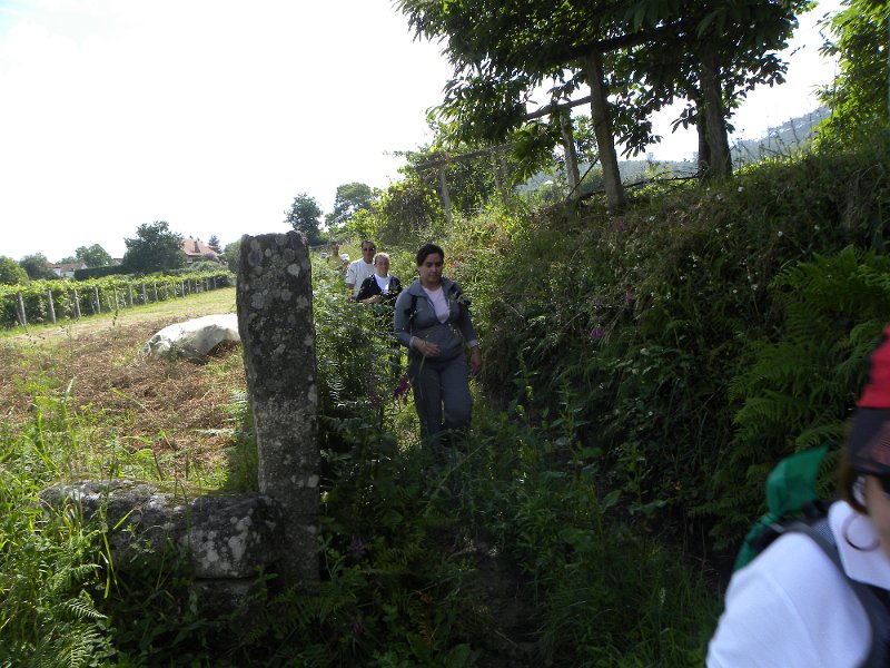 DSCN4633.JPG