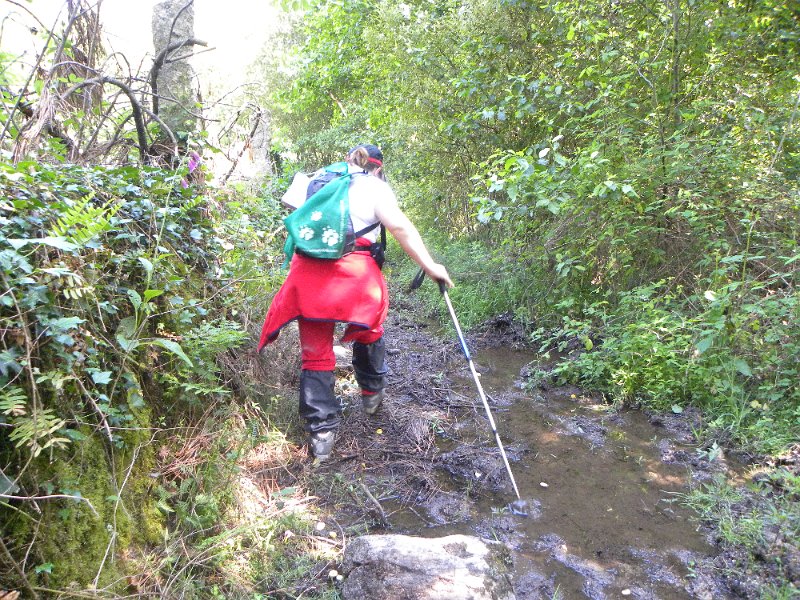 DSCN4658.JPG
