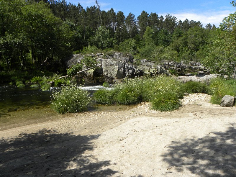 DSCN4665.JPG