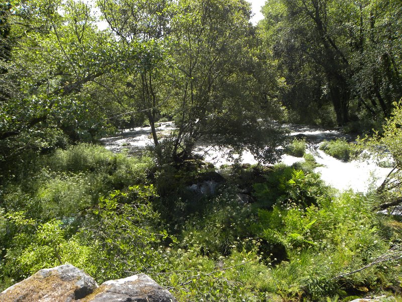 DSCN4669.JPG