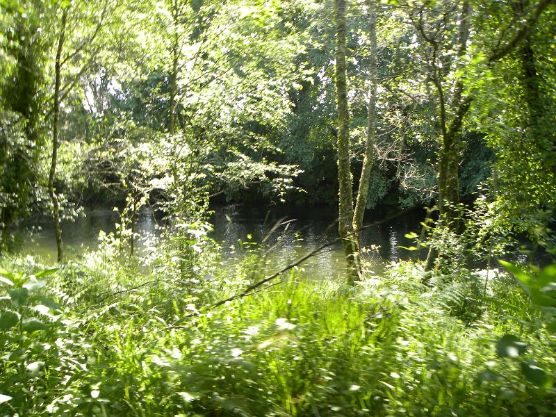 DSCN4678.JPG