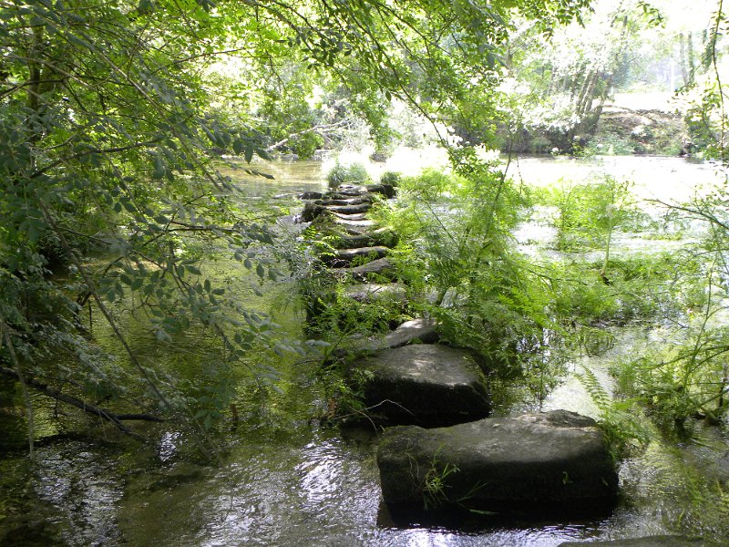 DSCN4683.JPG