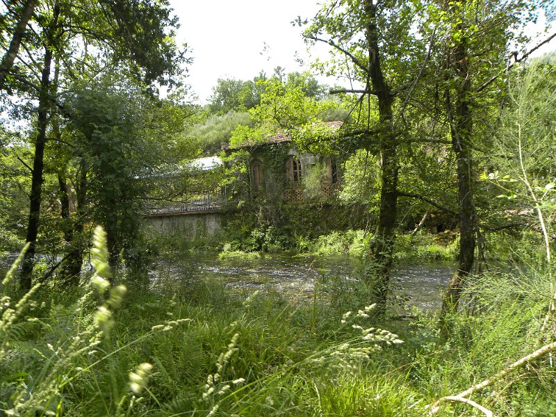 DSCN4692.JPG