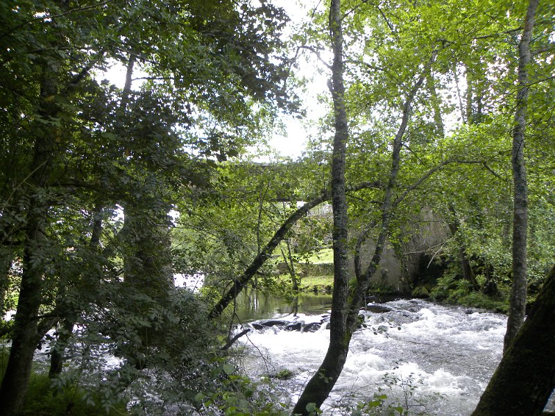 DSCN4699.JPG