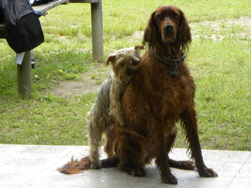 DSCN4719.JPG