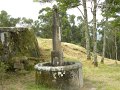 DSCN4607