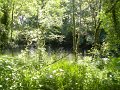 DSCN4678