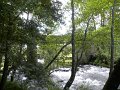 DSCN4699