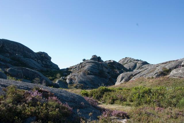 DSC_9857.JPG
