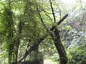 DSCN0552