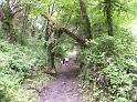 DSCN0553