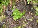 DSCN0563