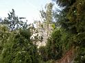 DSCN0585