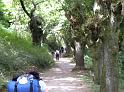 DSCN0601