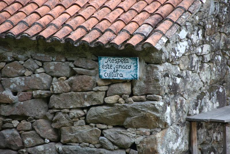DSC_8936.JPG