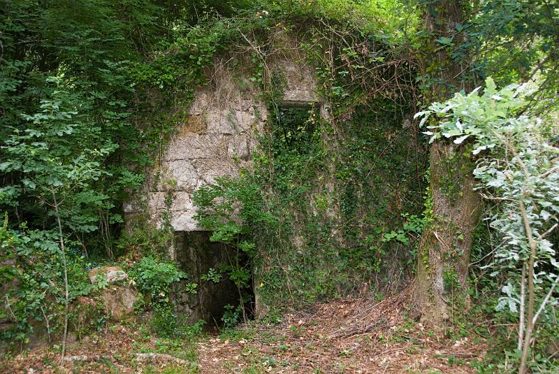 DSC_8939.JPG