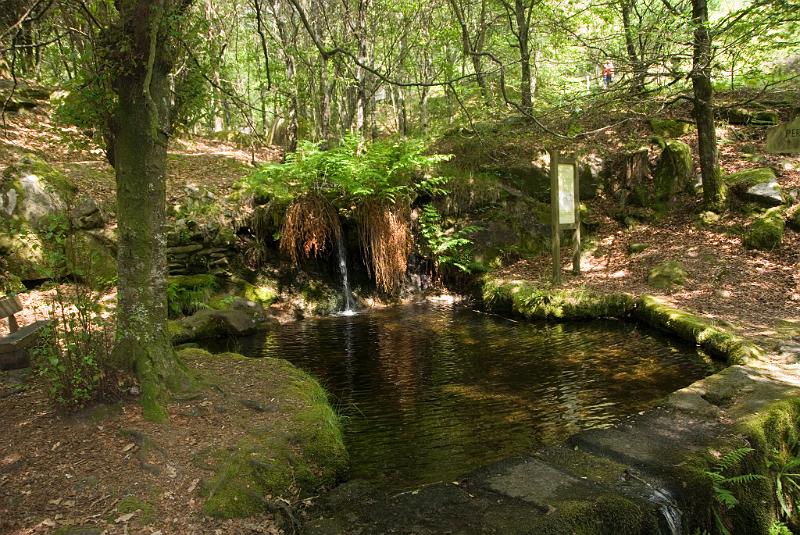 DSC_8978.JPG