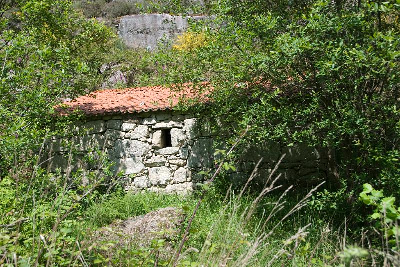 DSC_9026.JPG